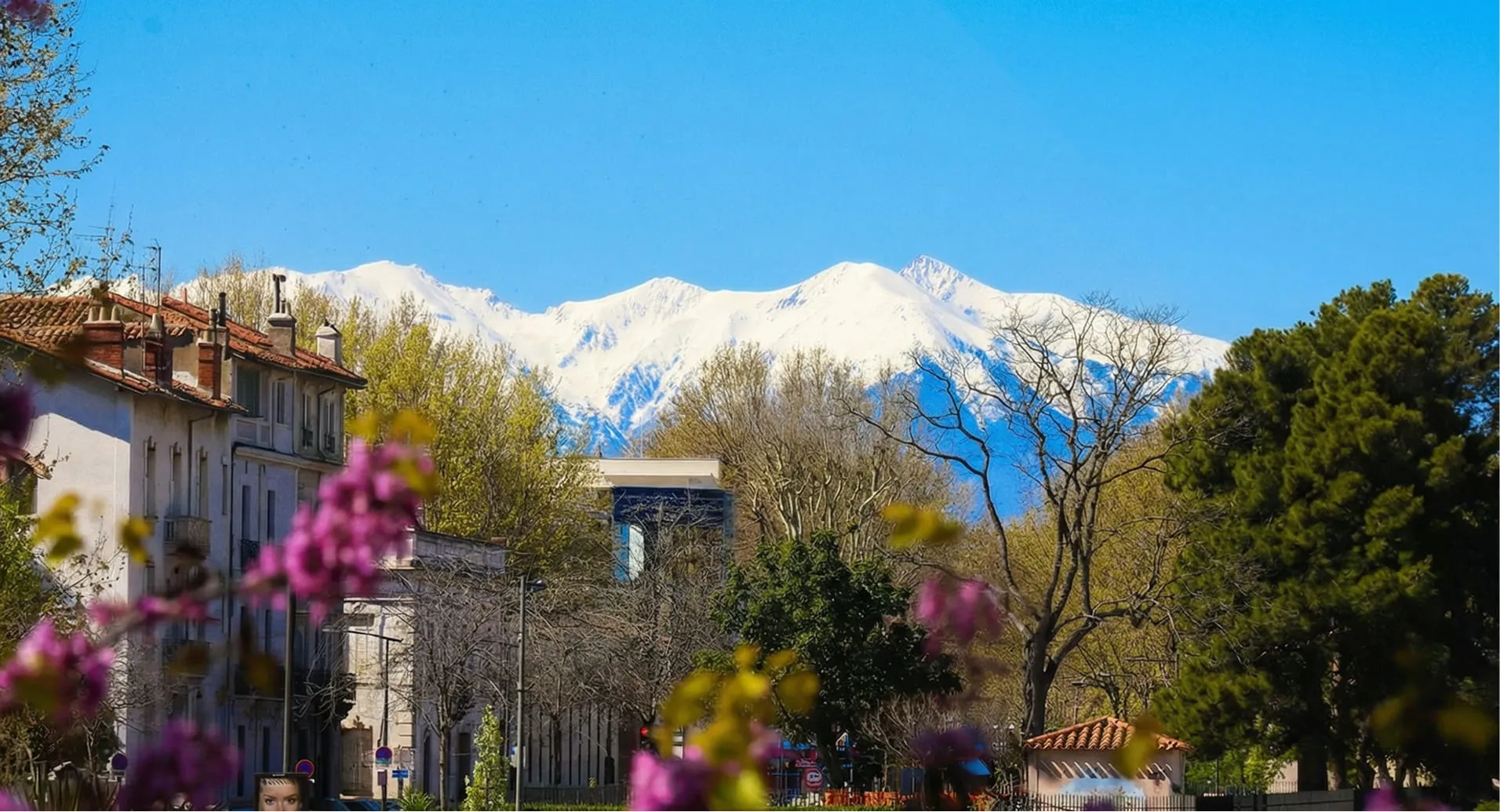 Casas y árboles en primer plano con montañas nevadas y un cielo azul claro al fondo.